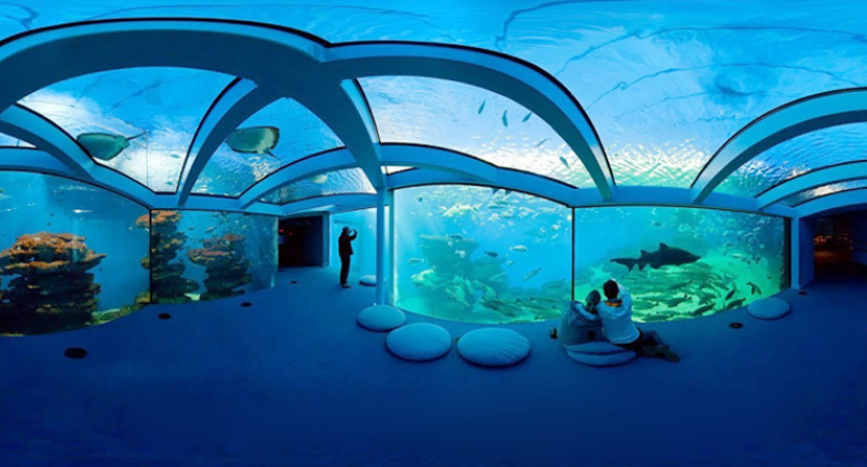 Taraporewala Aquarium 2