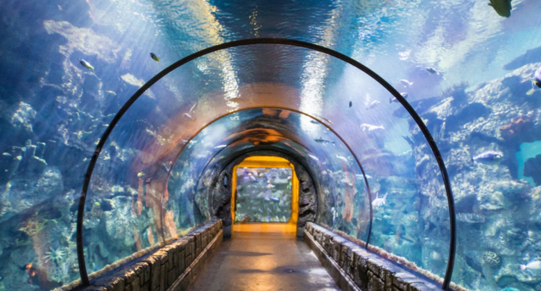 Taraporewala Aquarium 3